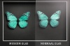 Welk glas moet u kiezen?